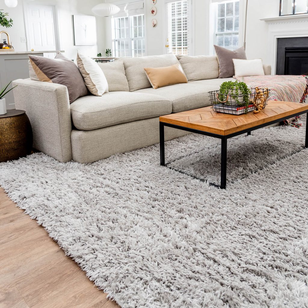 living room with modern style shag rug