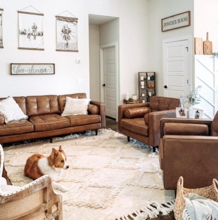 Pet-Friendly Rugs