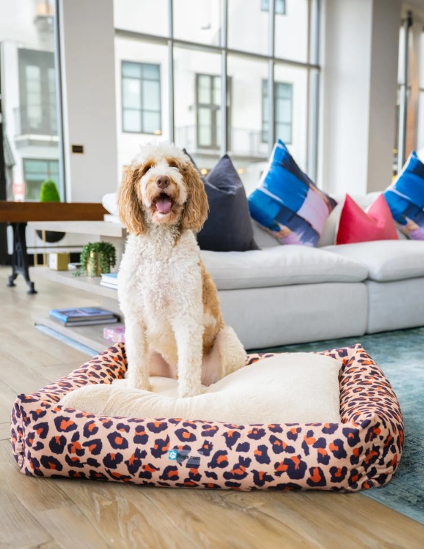 Designer Dog Beds Exclusively at Floorspace