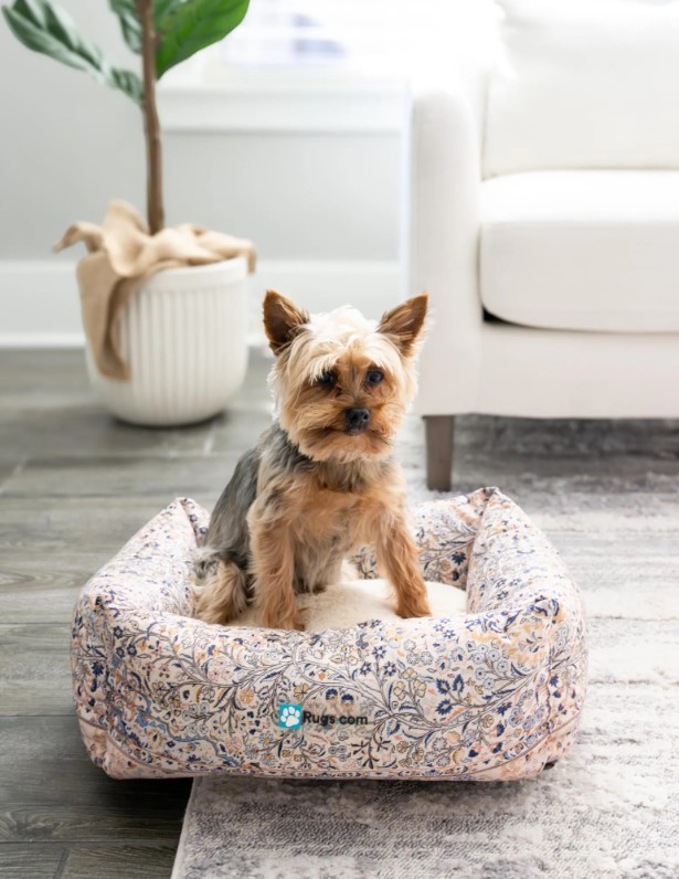 Sleeping Dog Rug Designer Dog Beds Exclusively at Rugs.com – Floorspace