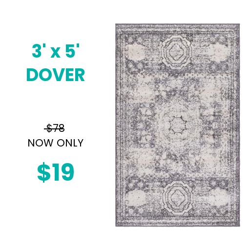 3x5 Dover Rug $49